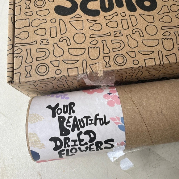 SALE!!! NWT Sculpd Dried Flower Vase Pottery Kit - Picture 4 of 14